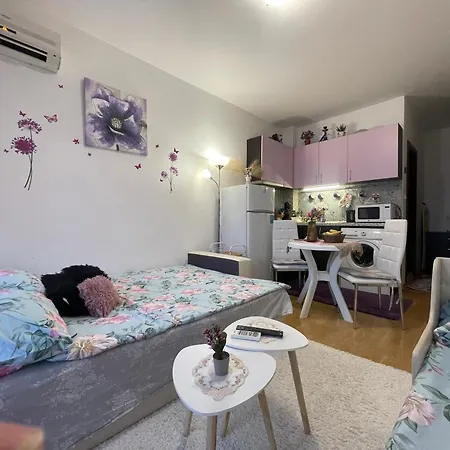 студио Sunny Day 6 Sunny 公寓 *