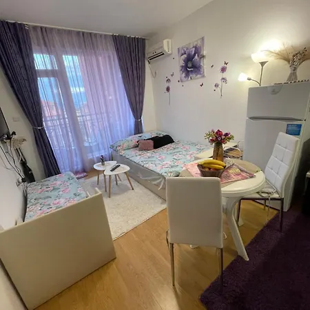 студио Sunny Day 6 Sunny 阳光海滩