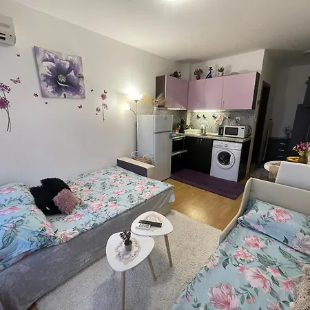 студио Sunny Day 6 Sunny 公寓 *